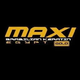 maxi logo